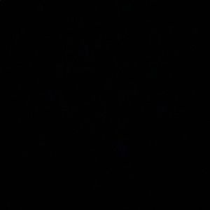 Meet your Posher, Jade